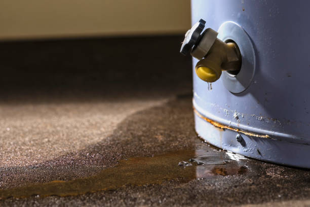 Best Fire Damage Restoration  in Audubon, PA