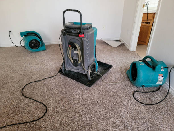 Best Flood damage cleanup  in Audubon, PA