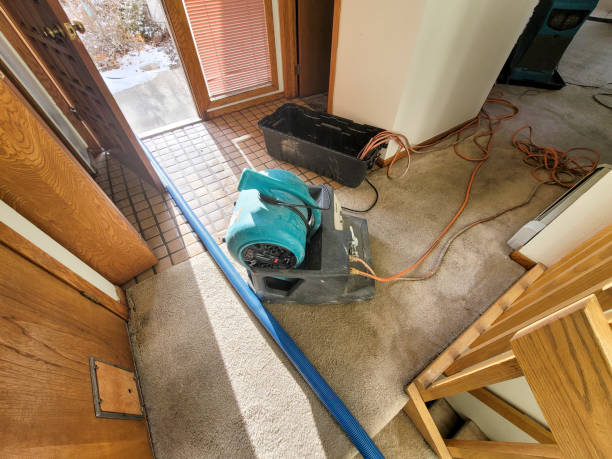 Best Commercial water damage restoration  in Audubon, PA