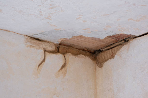 Best Water damage cleanup near me  in Audubon, PA