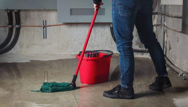 Best Flooded house restoration  in Audubon, PA