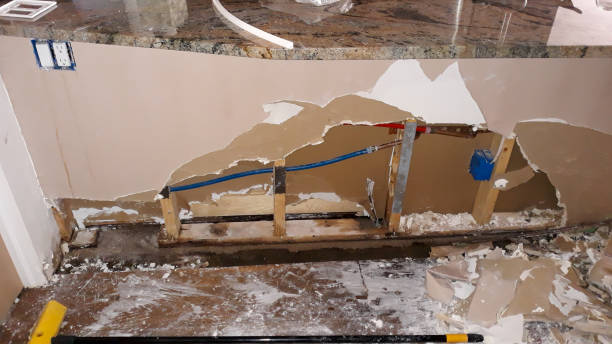 Best Water damage mitigation services  in Audubon, PA