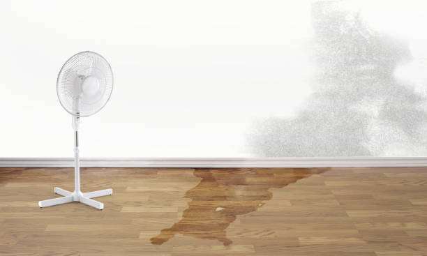  Audubon, PA Water damage restoration Pros