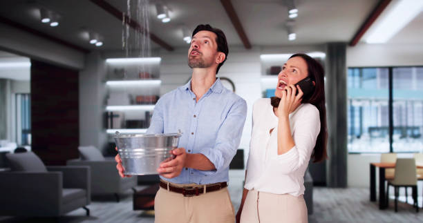 Best Water damage contractors near me  in Audubon, PA