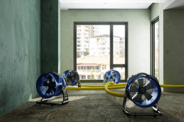 Water damage restoration experts in Audubon, PA