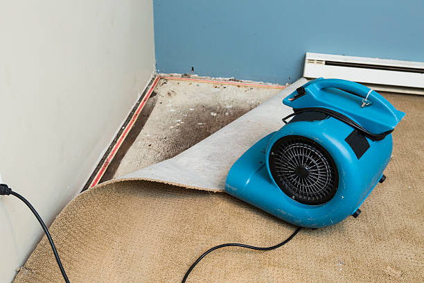 Best Water damage restoration cost  in Audubon, PA